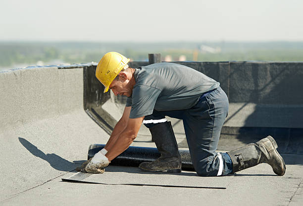 Best Commercial Insulation in Newman, CA