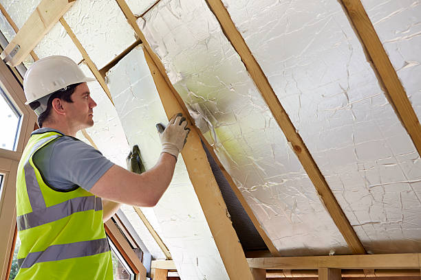 Types of Insulation We Offer in Newman, CA